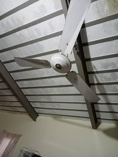 Excellent fans