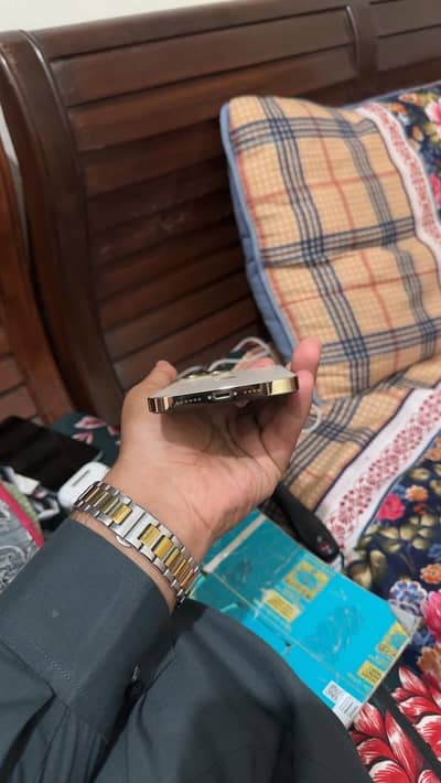 Apple iPhone 13 Pro Max