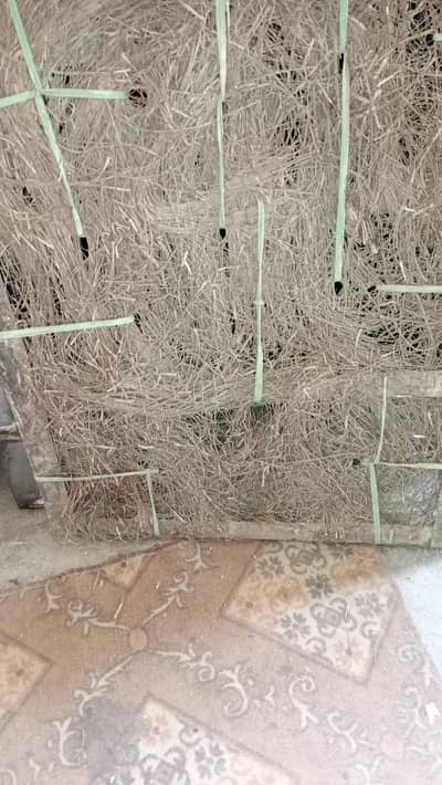 Lahori room Coller and fan