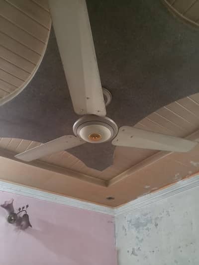 Ceiling fans (5)