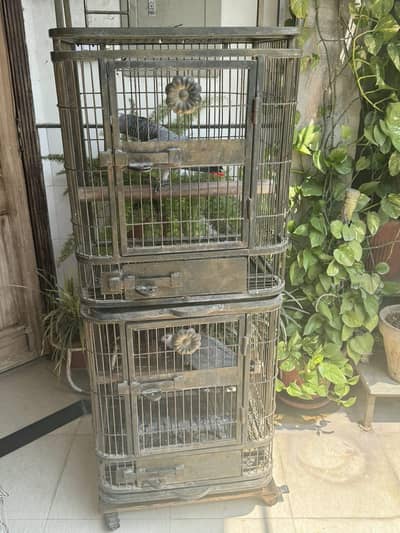 Parrot Cage Double Portion Heavy Iron with Wheels