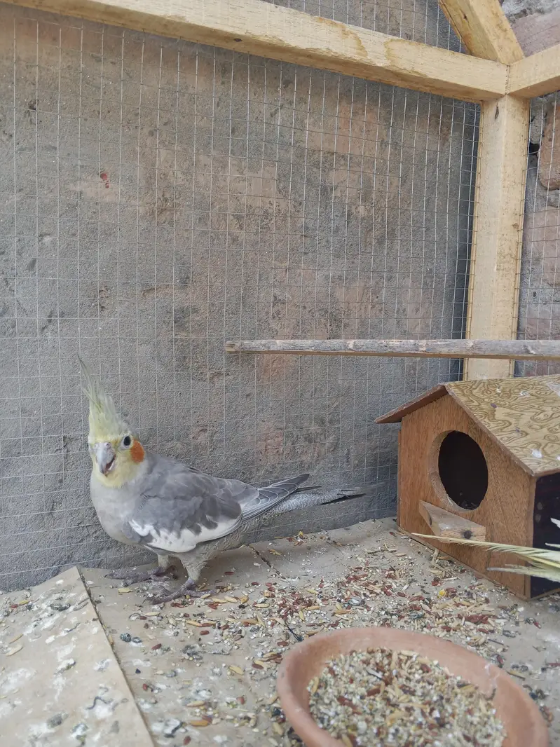 male female donon hai — photo 2