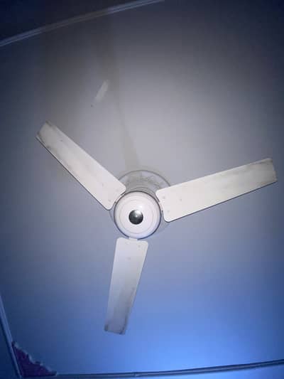 Gujrati pure copper cellings fans