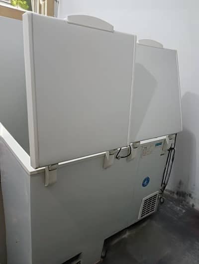 Waves double door deep freezer excellent condition