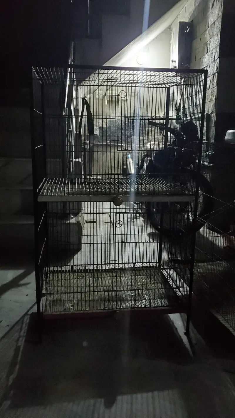 2 FLOOR CAGE