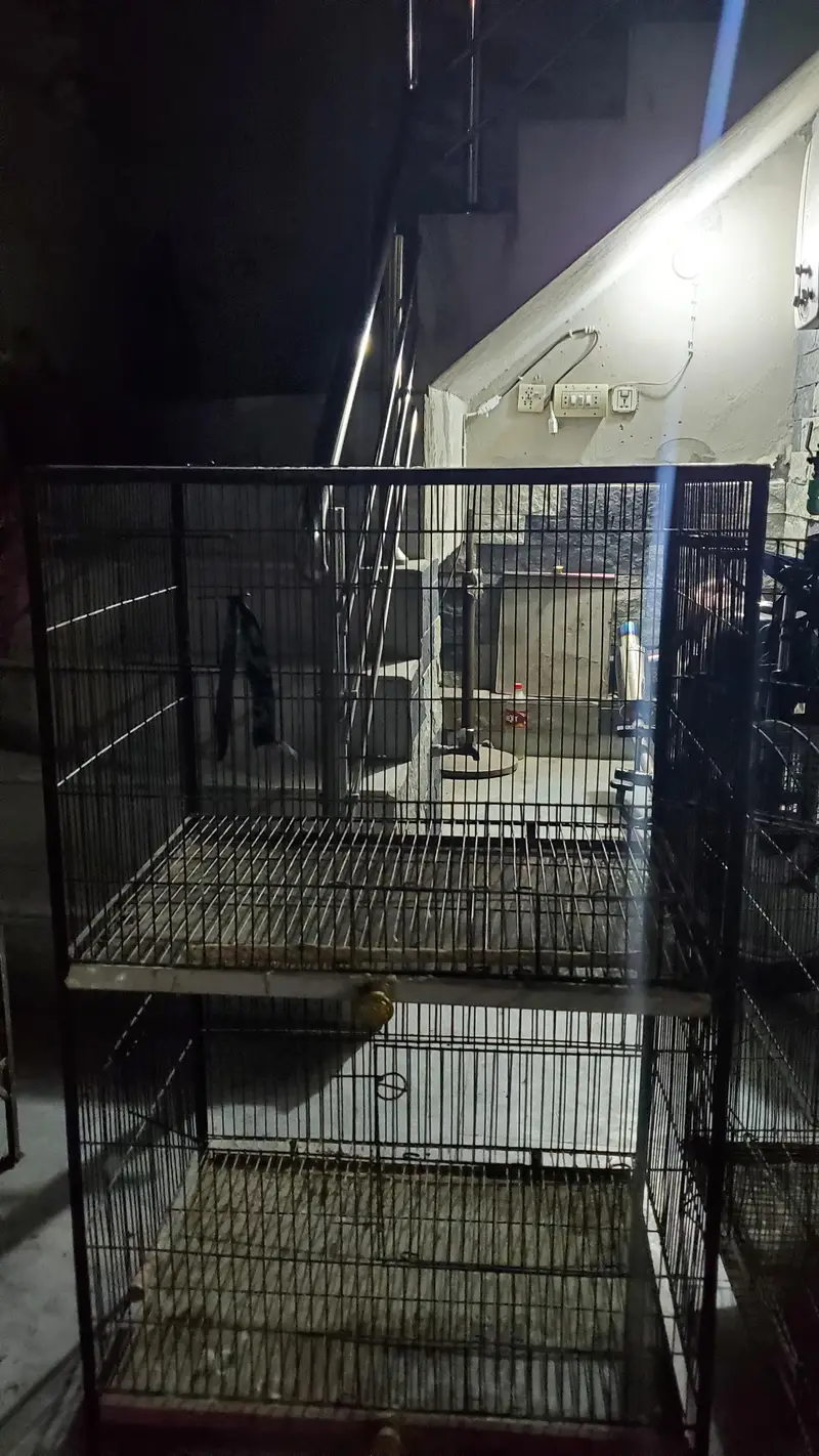 2 FLOOR CAGE — photo 2
