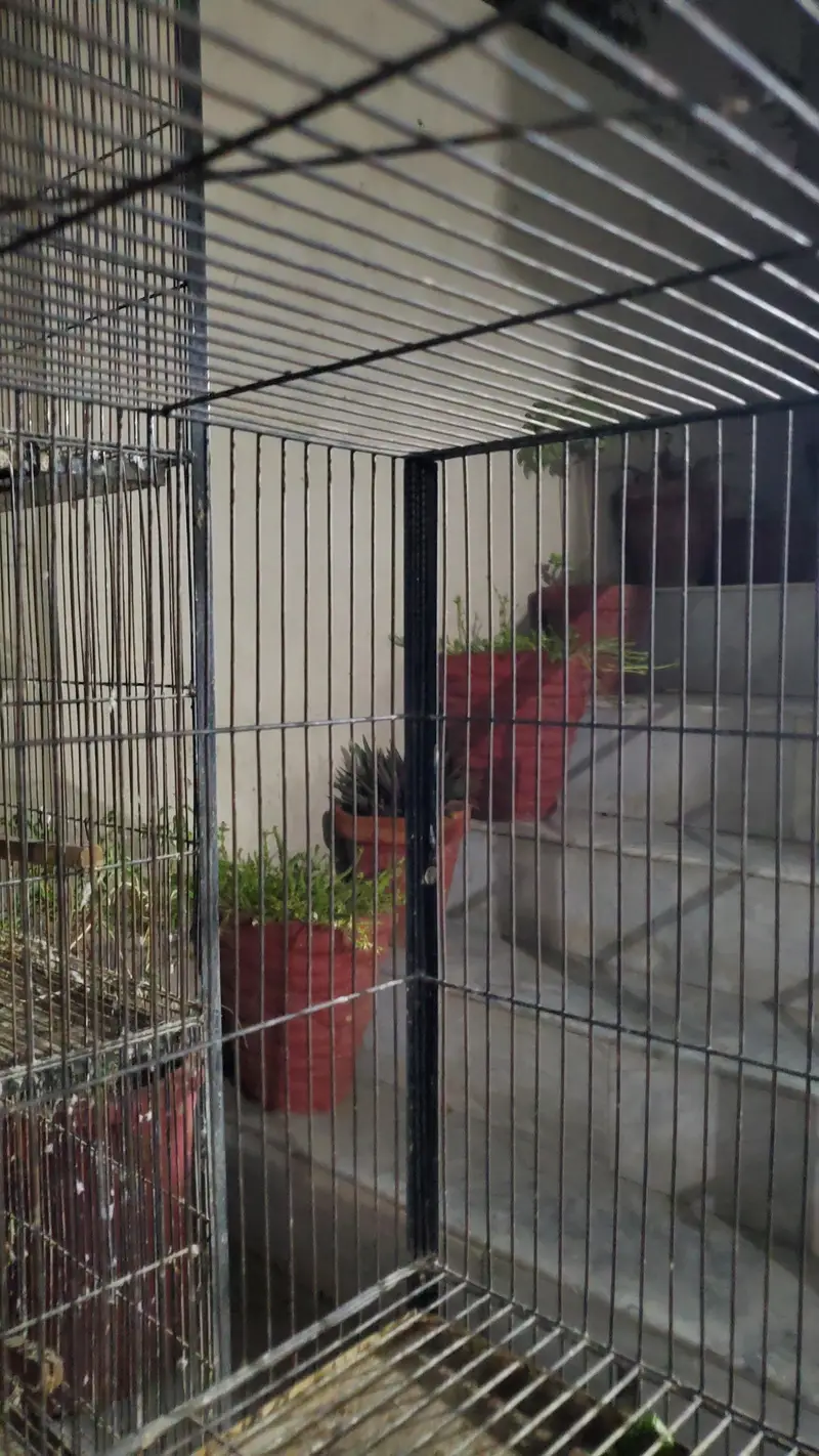2 FLOOR CAGE — photo 3