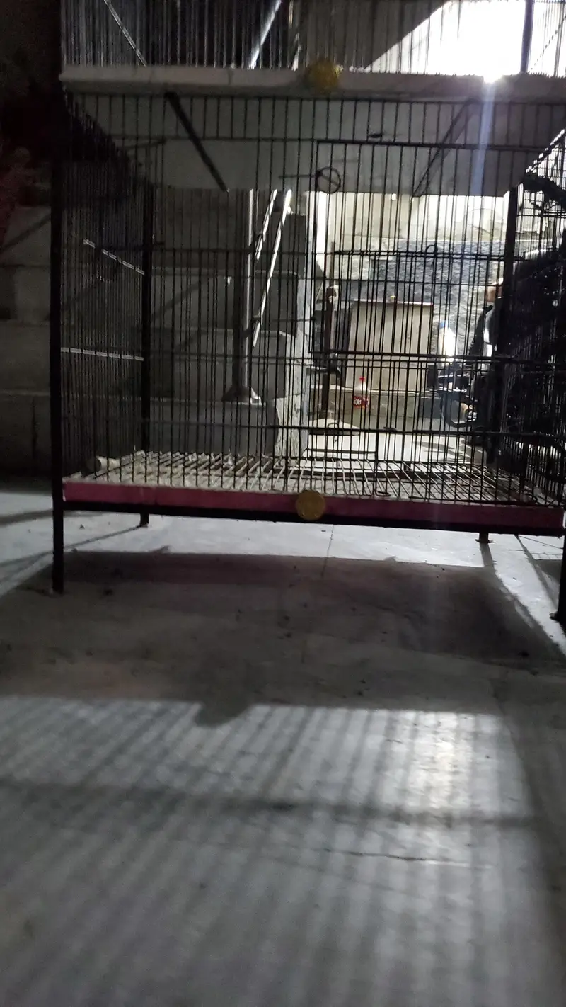 2 FLOOR CAGE — photo 4