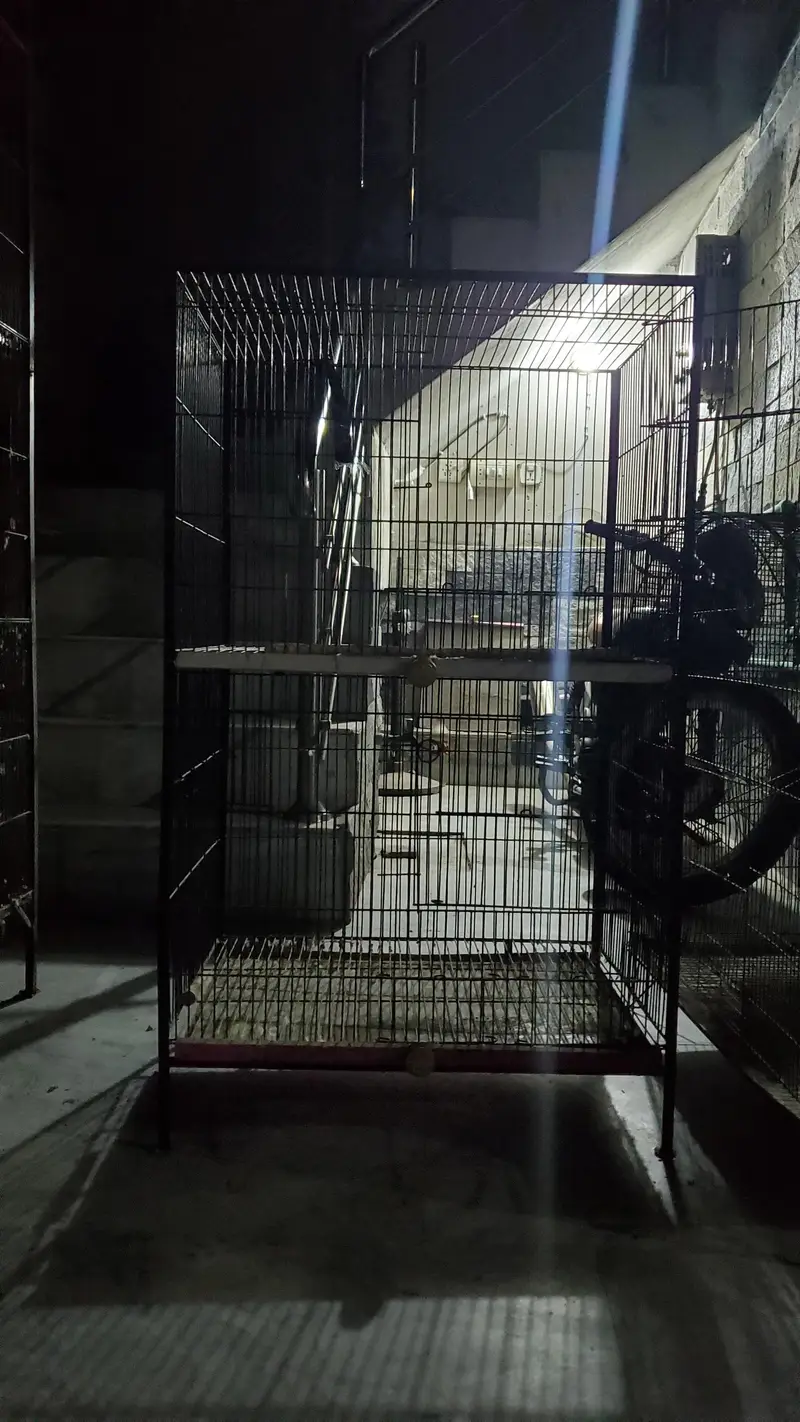 2 FLOOR CAGE — photo 5