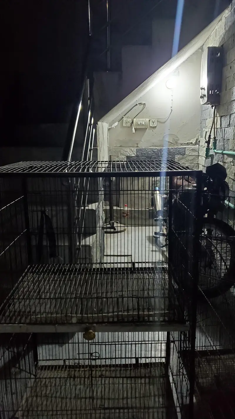 2 FLOOR CAGE — photo 6