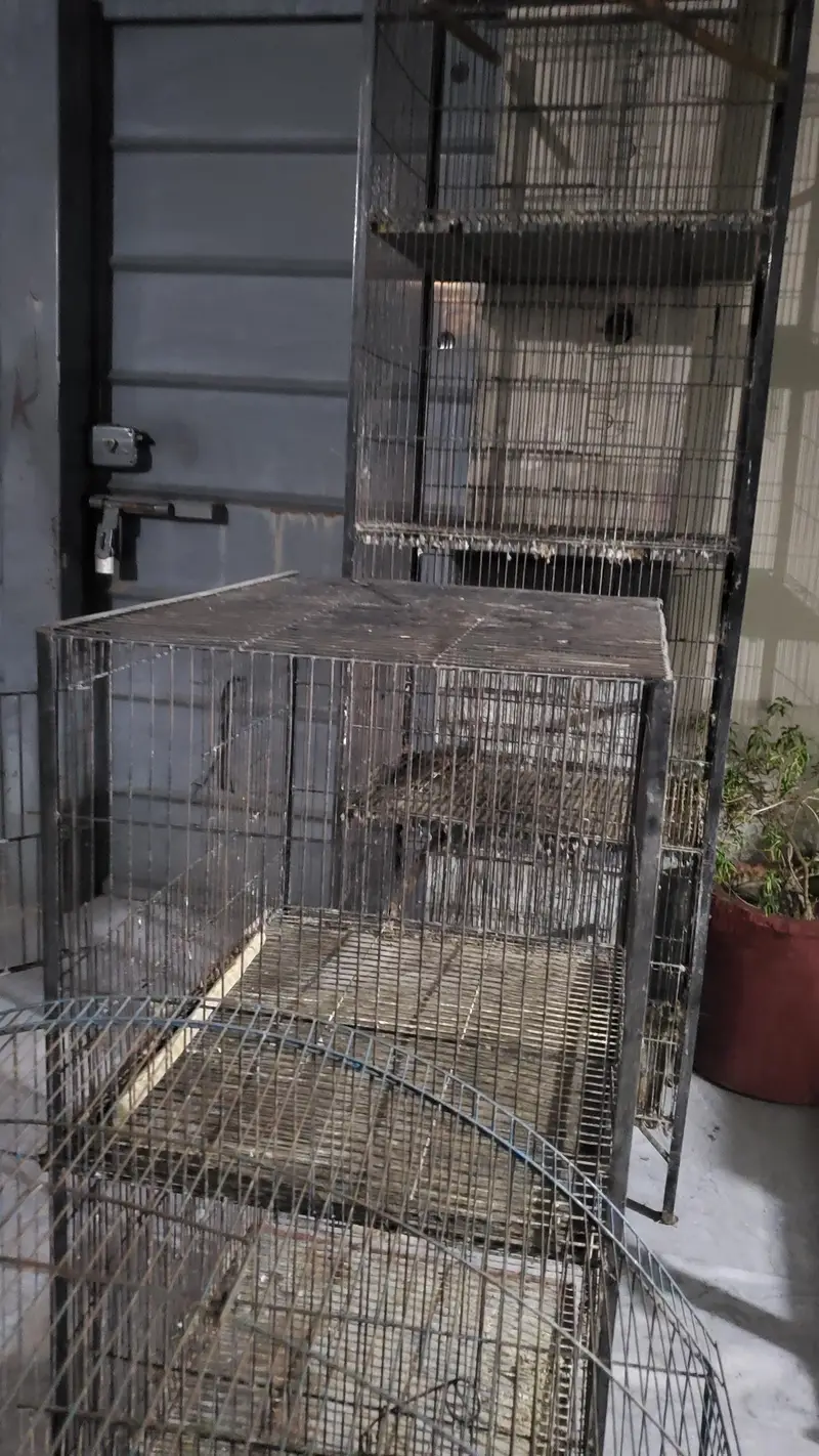 2 FLOOR CAGE — photo 7