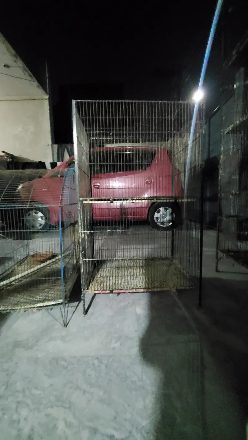 2 FLOOR CAGE — photo 8