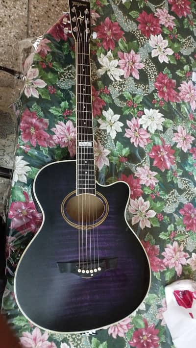 tagima semi acoustic guitar.