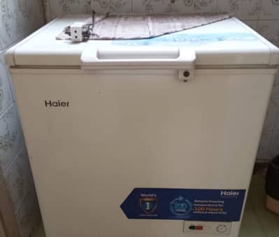 D FREEZER