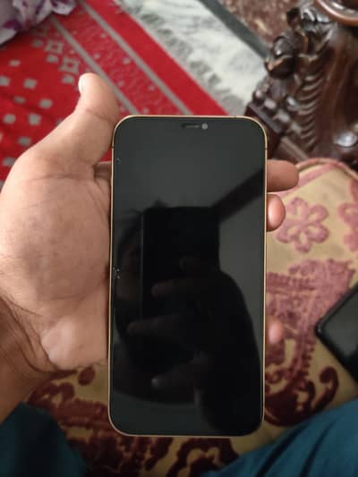 Apple iPhone 12 Pro Max