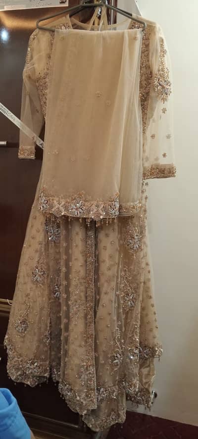Bridal dress one time use