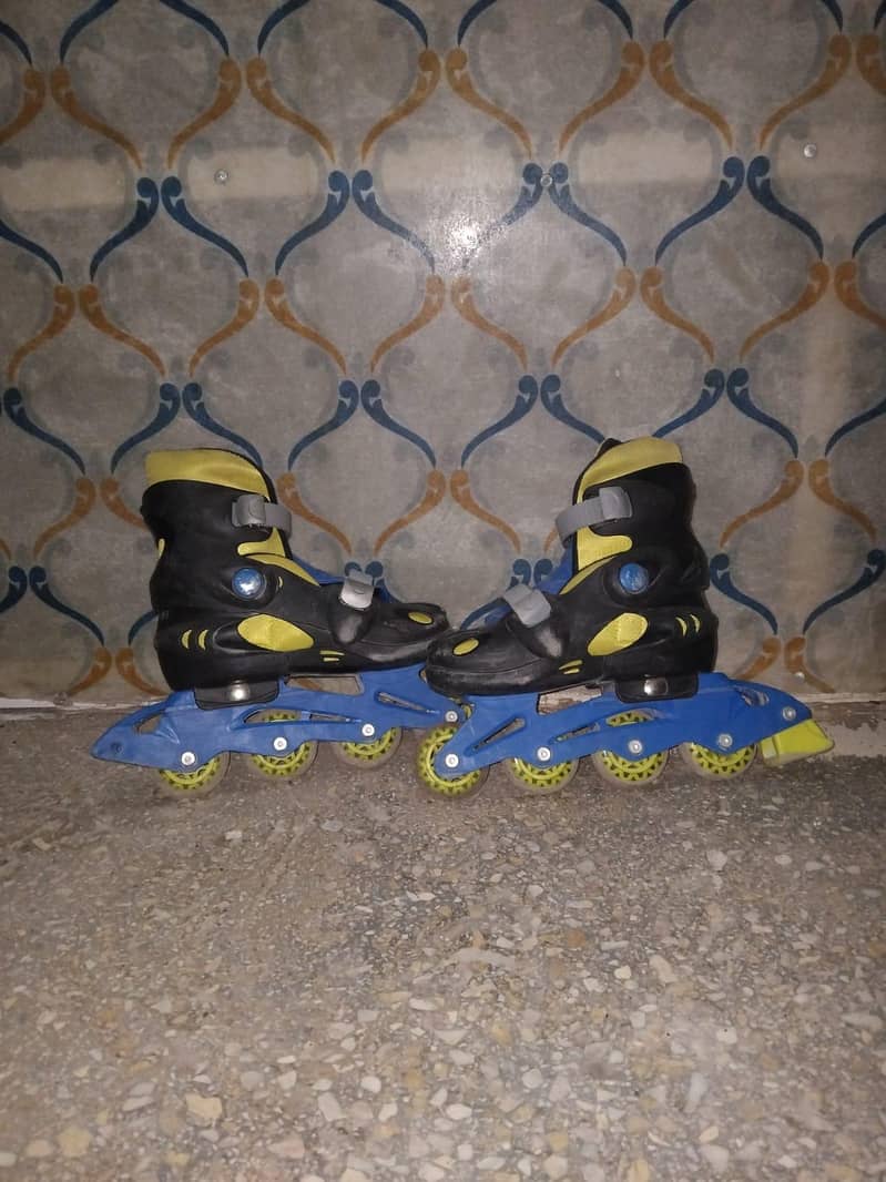 skating shoes 1