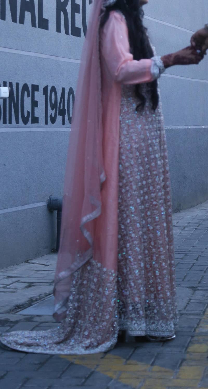 walima maxy 1