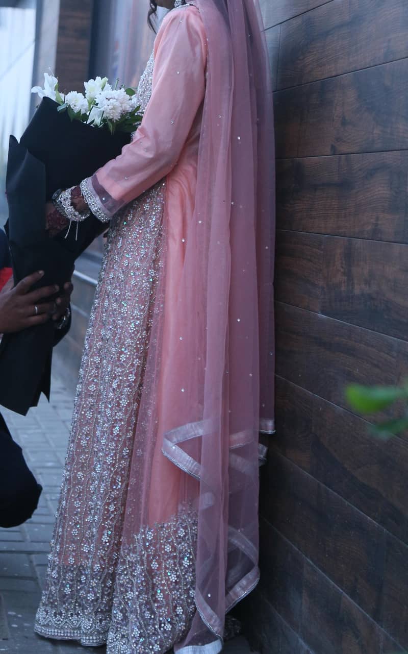 walima maxy 2