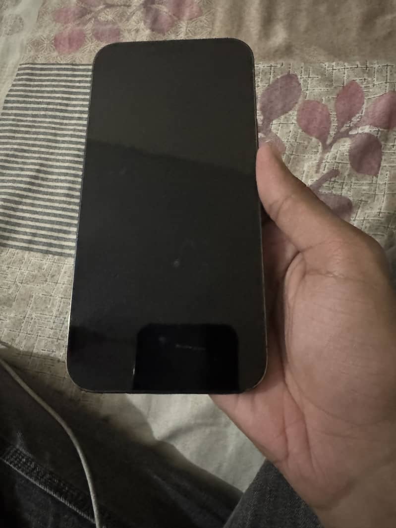 Apple iPhone 13 Pro Max 4
