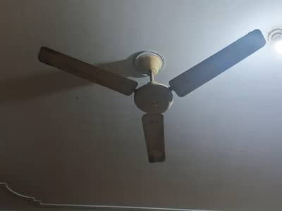 Royal branded Fan