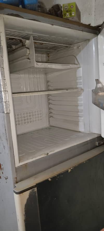 pel fridge