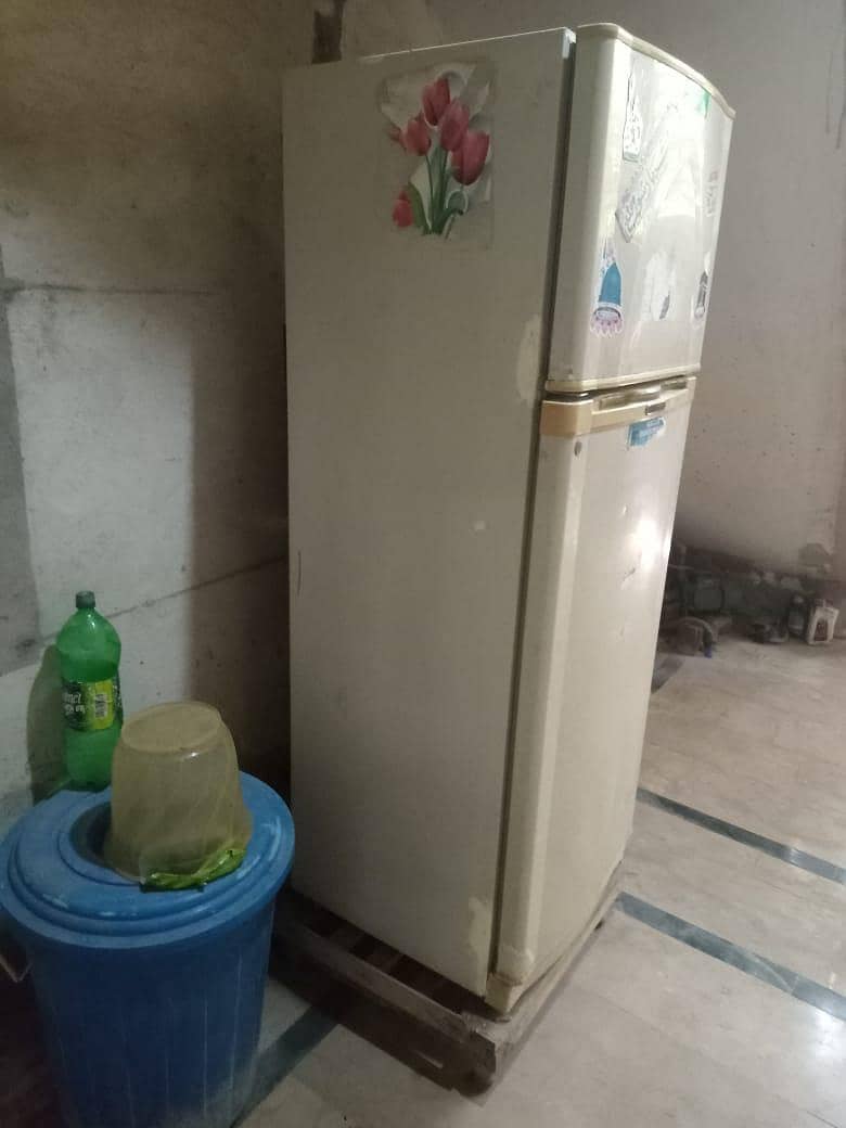 refrigerator 11