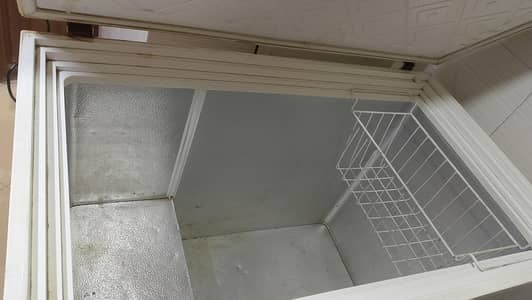 freezer