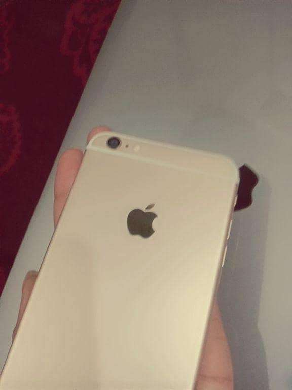 Apple iPhone 6 Plus 1
