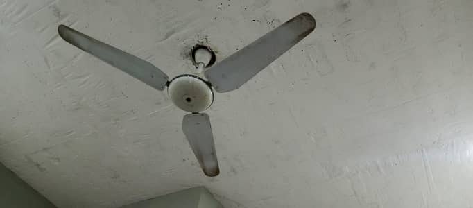 ceiling fan for sell