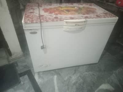 D freezer