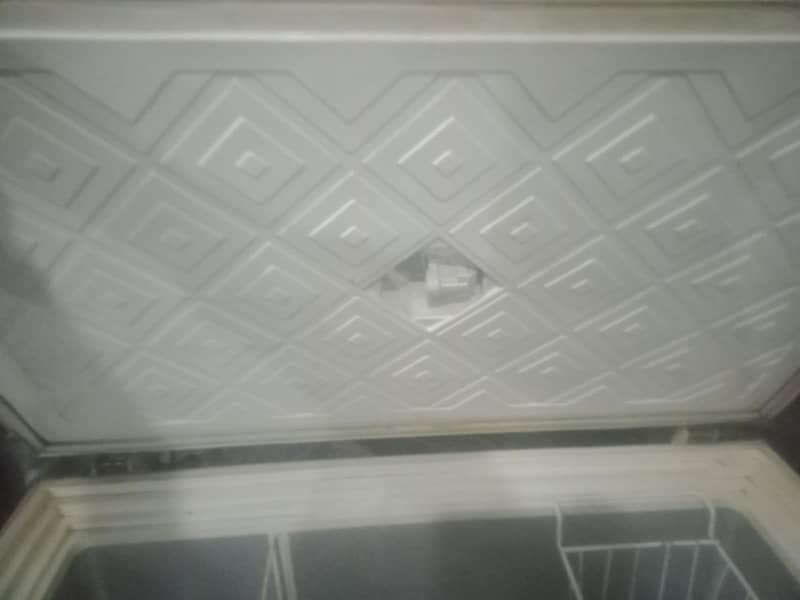 D freezer 3