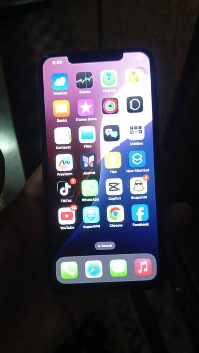 Apple iPhone XS Max
