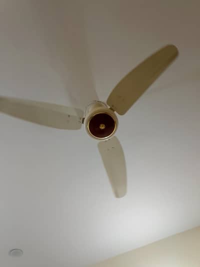 Royal fan All ok good condition full size