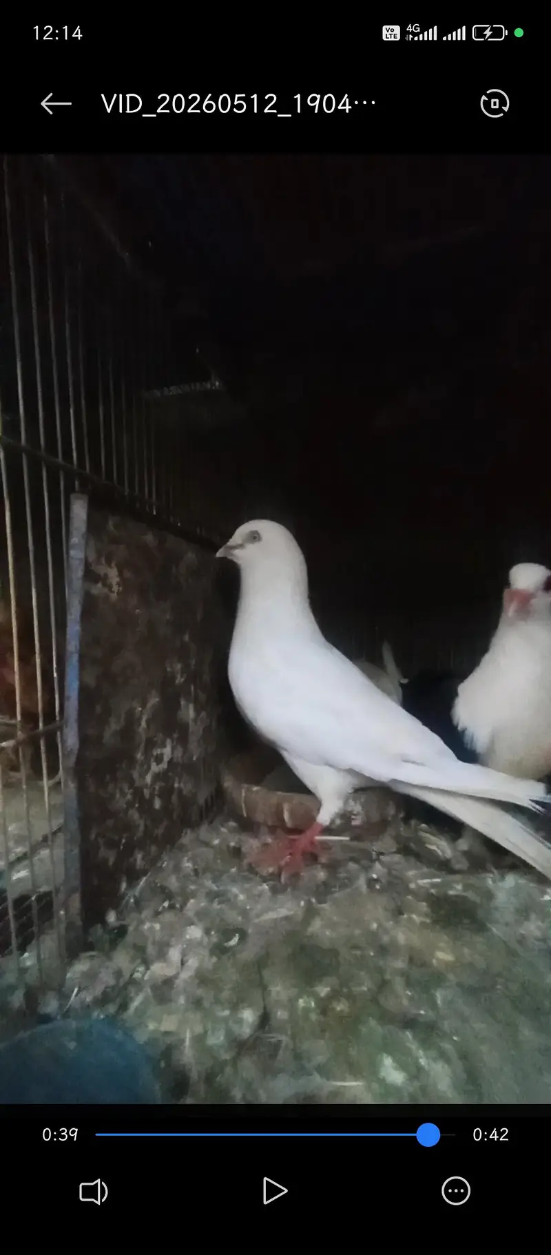 healthy active Pair — photo 5