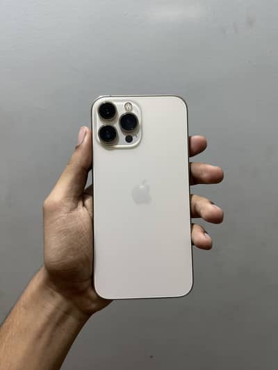 Apple iPhone 13 Pro Max