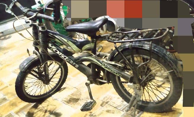 Morgan cycle 0