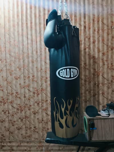 boxing bag 4 ft with gloves  for sale