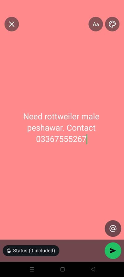 I need a rottweiler male in peshawar