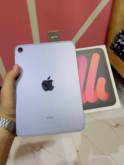 ipad mini 6 10/10 with box 256gb physical sim non pta lakin scom work