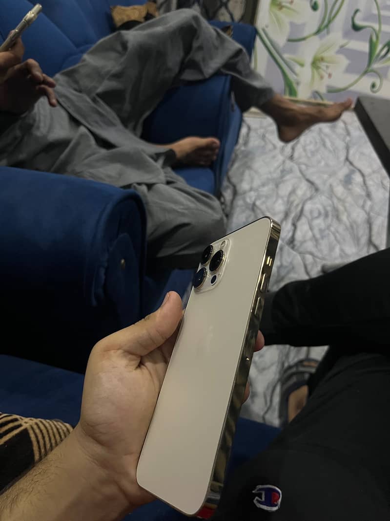 Apple iPhone 13 Pro Max 2