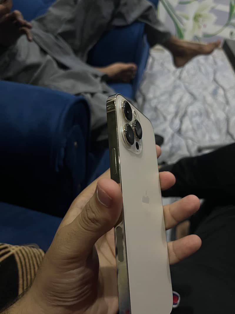 Apple iPhone 13 Pro Max 3