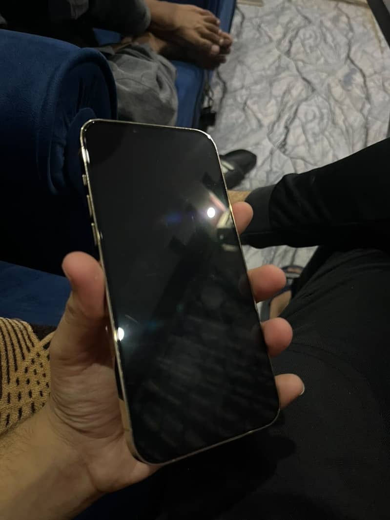 Apple iPhone 13 Pro Max 11