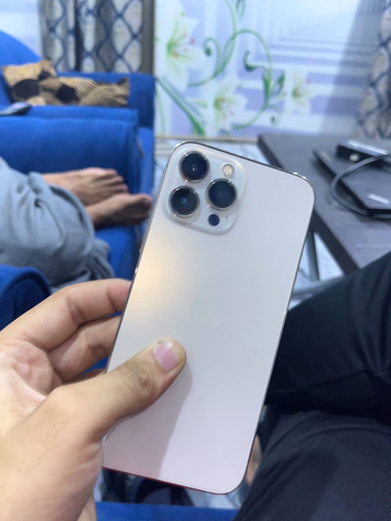 Apple iPhone 13 Pro Max 13