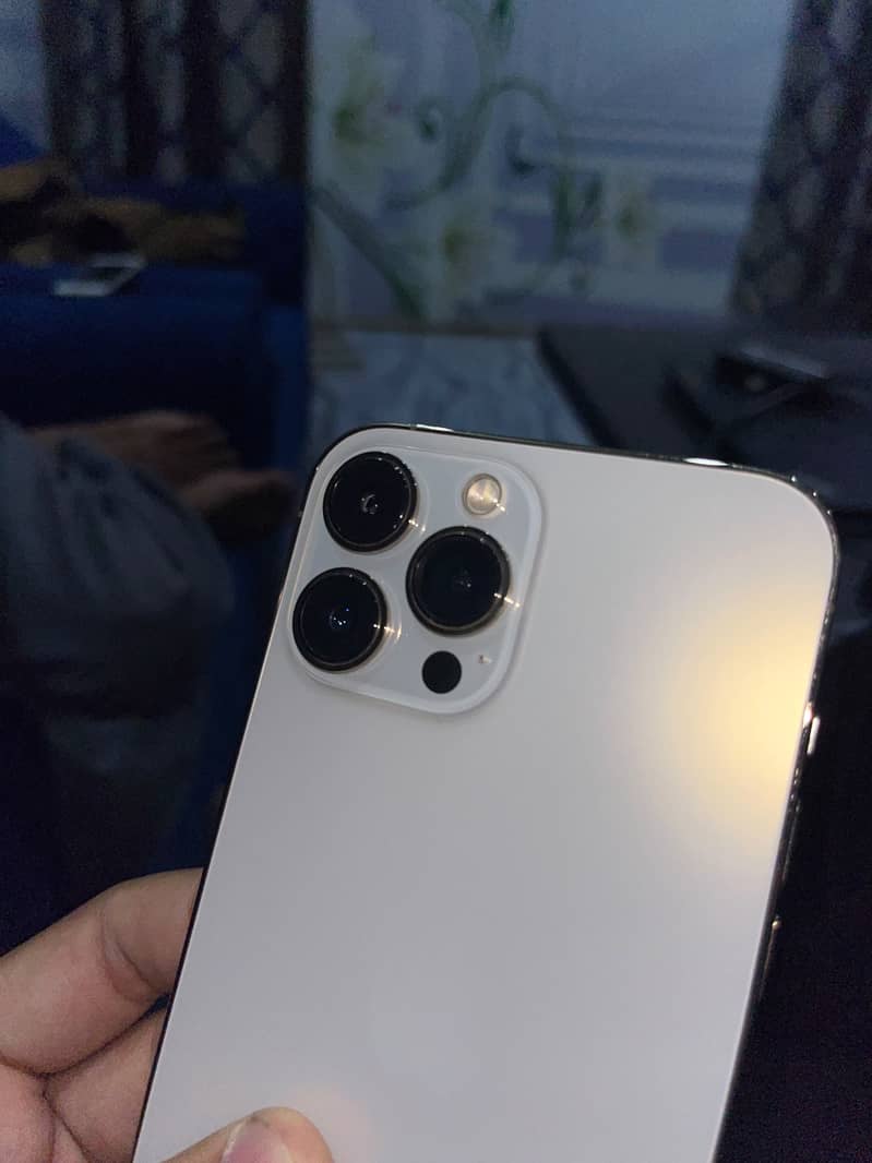 Apple iPhone 13 Pro Max 14