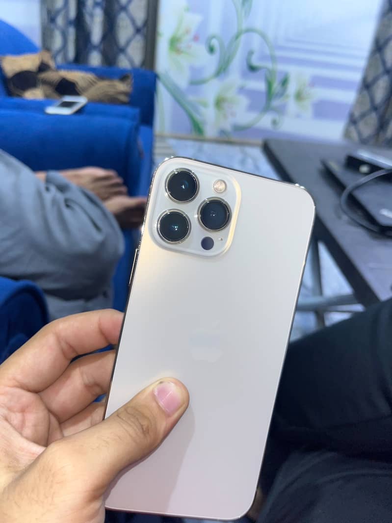 Apple iPhone 13 Pro Max 15