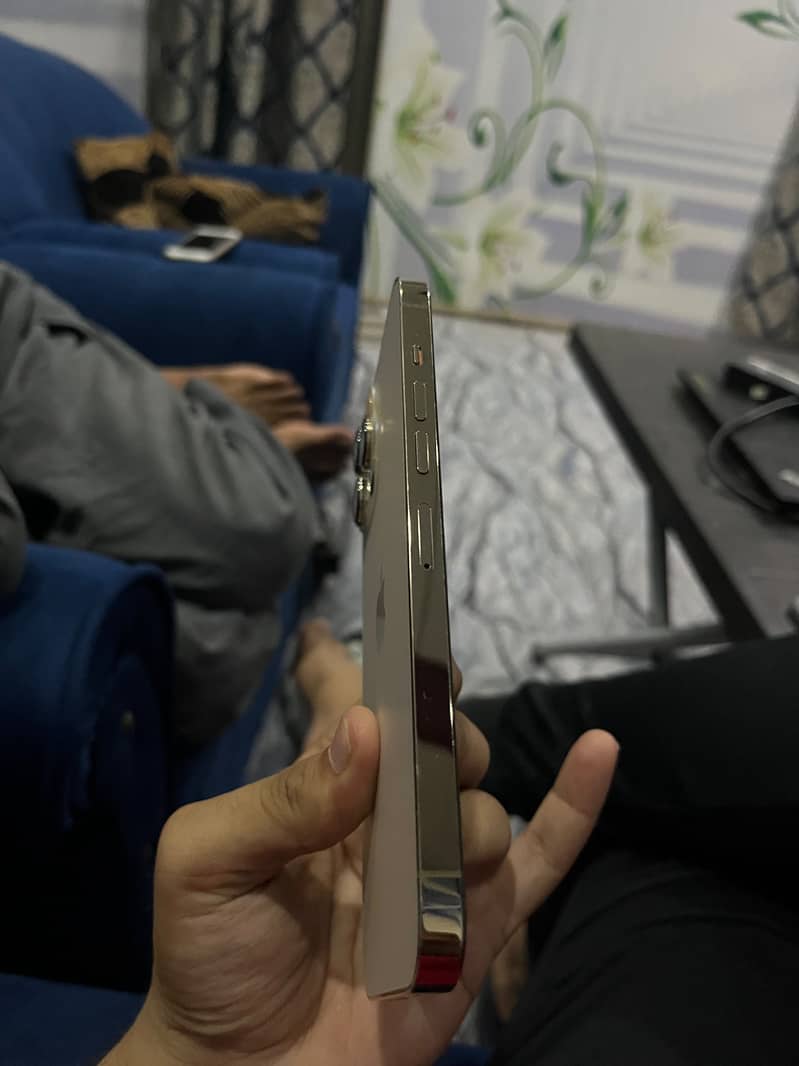 Apple iPhone 13 Pro Max 16