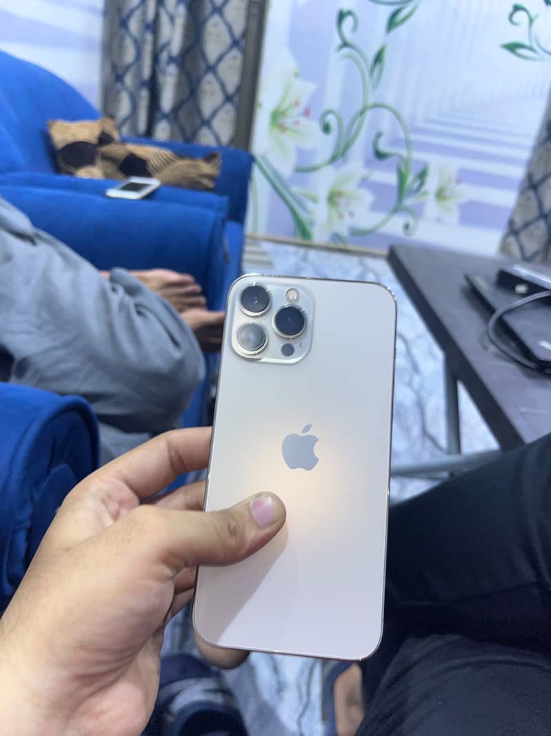 Apple iPhone 13 Pro Max 17
