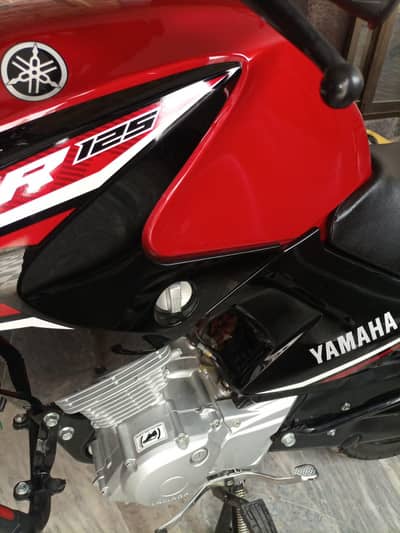 YAMAHA || YBR 125 || Model 2023
