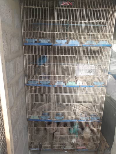4 portion cage